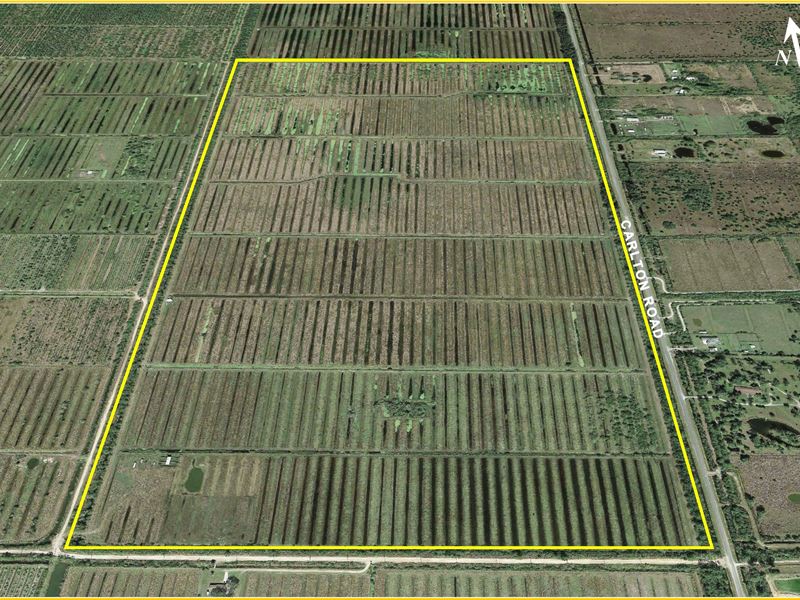 325 Acres Agricultural Land : Port St. Lucie : Saint Lucie County : Florida
