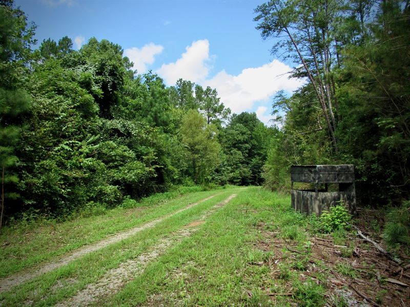 Murray Tract Land for Sale in Crandall, Murray County,