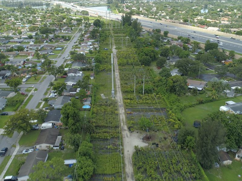 Amazing Nursery in Fort Lauderdale : Plantation : Broward County : Florida