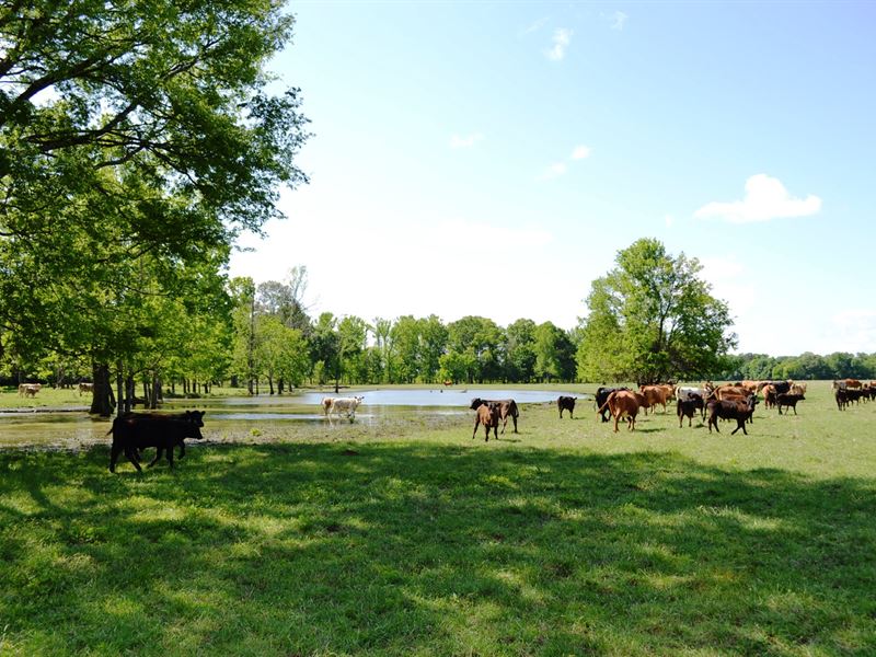 Hopson Farms : Tallassee : Elmore County : Alabama
