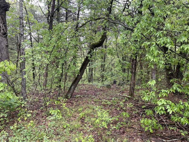 11 Acres, Ash Flat, Arkansas : Ash Flat : Sharp County : Arkansas