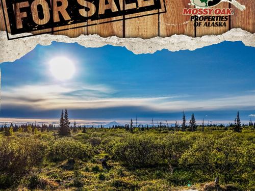 A Little Slice of Paradise : Ninilchik : Kenai Peninsula Borough : Alaska