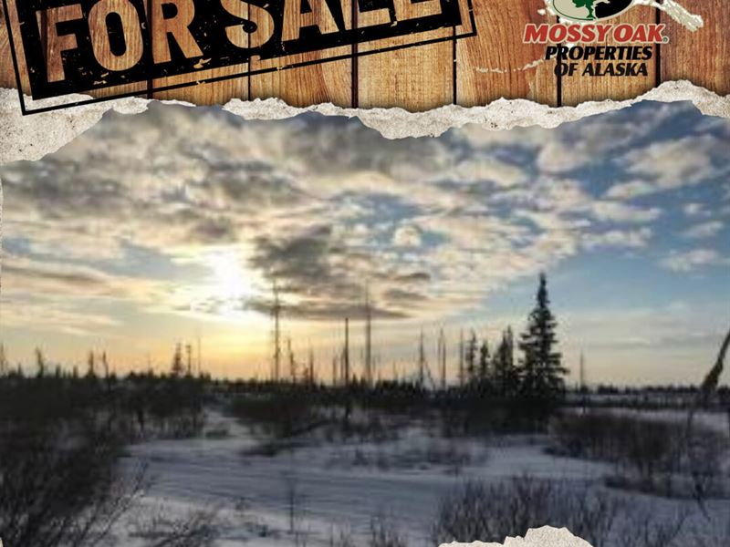 A Little Slice of Paradise : Ninilchik : Kenai Peninsula Borough : Alaska