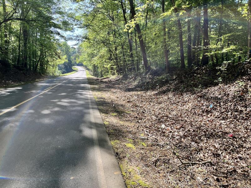 Twenty Acres, Ethelsville, AL : Ethelsville : Pickens County : Alabama