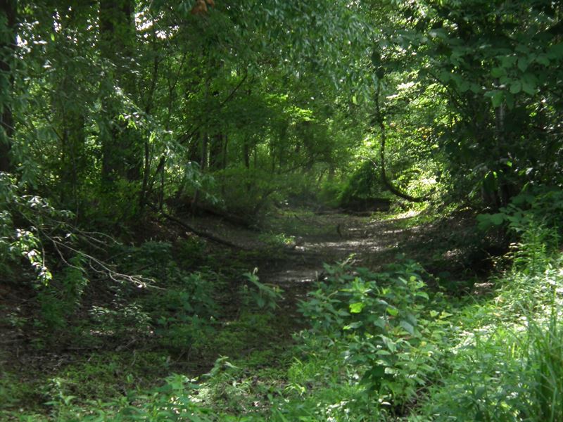 371.8 Acres in Starkville, MS : Starkville : Oktibbeha County : Mississippi