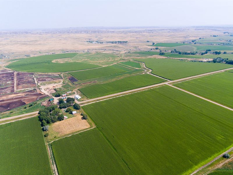 Kinsey Irrigated Farm : Kinsey : Custer County : Montana