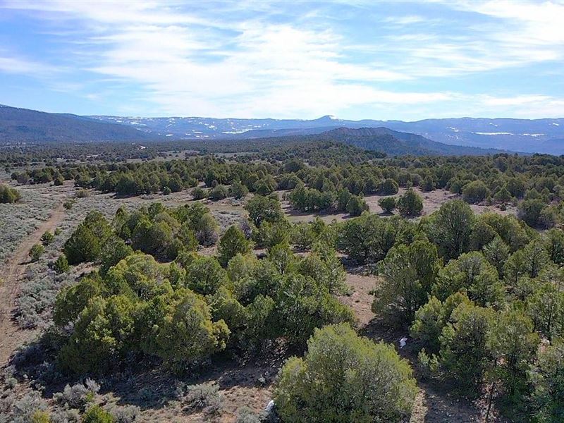 Turner 103 Ranch : Tierra Amarilla : Rio Arriba County : New Mexico