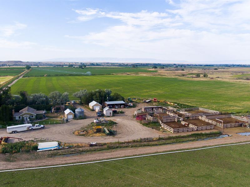 Willwood Irrigated Ranch : Powell : Park County : Wyoming