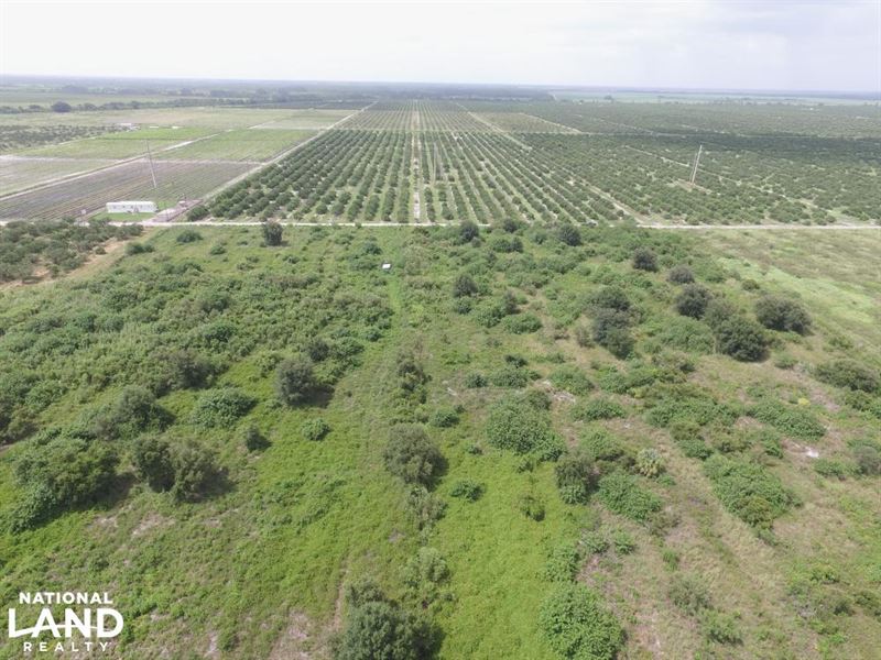 Labelle Sears Road Farmland Tract : Labelle : Hendry County : Florida