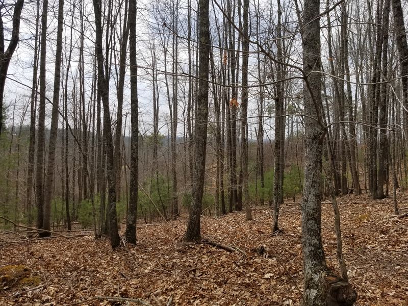 Secluded Land with Water & View : Fries : Grayson County : Virginia