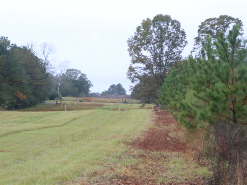 Timber Investment Hunting Co, Rd : Prattville : Autauga County : Alabama