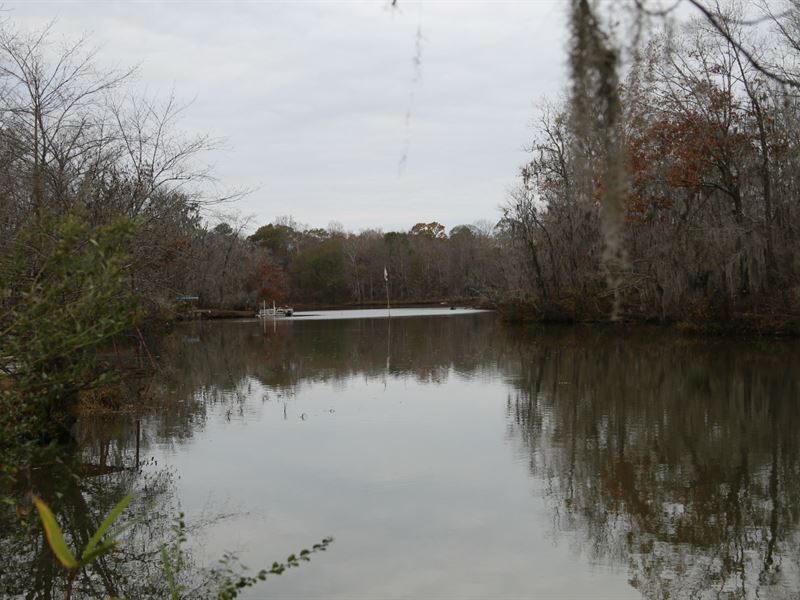 Alabama River Lot Land for Sale in Lowndesboro, Lowndes County