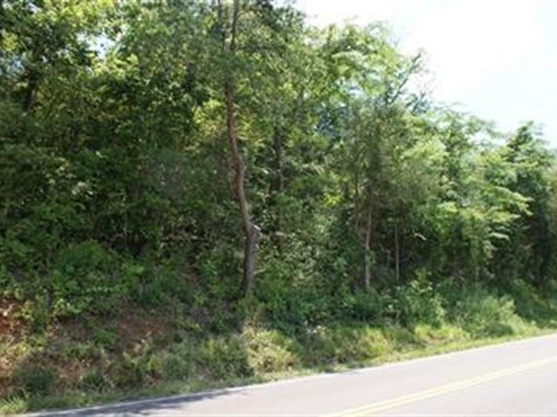 Building Tract Near New River : Ivanhoe : Wythe County : Virginia