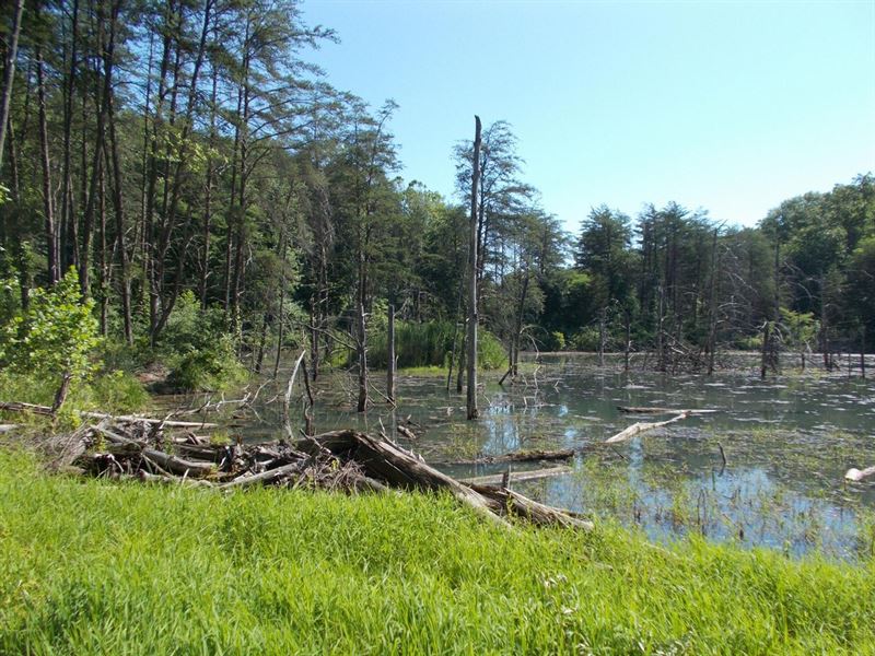 Staunton Vacant Land Lot 5 : Brazil : Clay County : Indiana