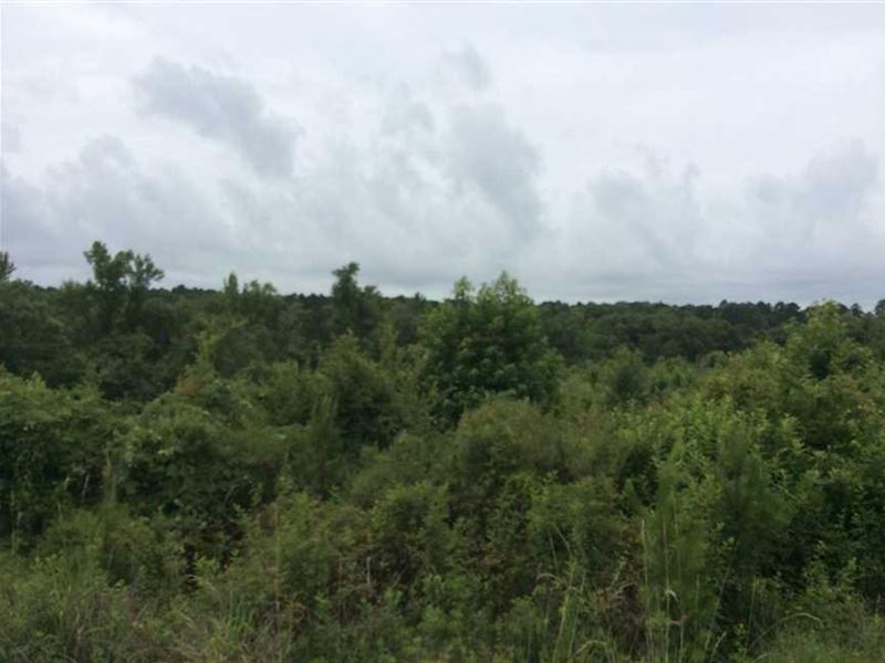 Military Road NE Tract, Winn Parish : Winnfield : Winn Parish : Louisiana
