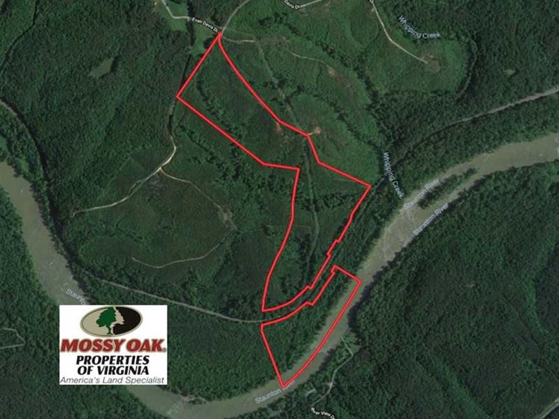84 Acres of Hunting Land for Sale : Brookneal : Campbell County : Virginia