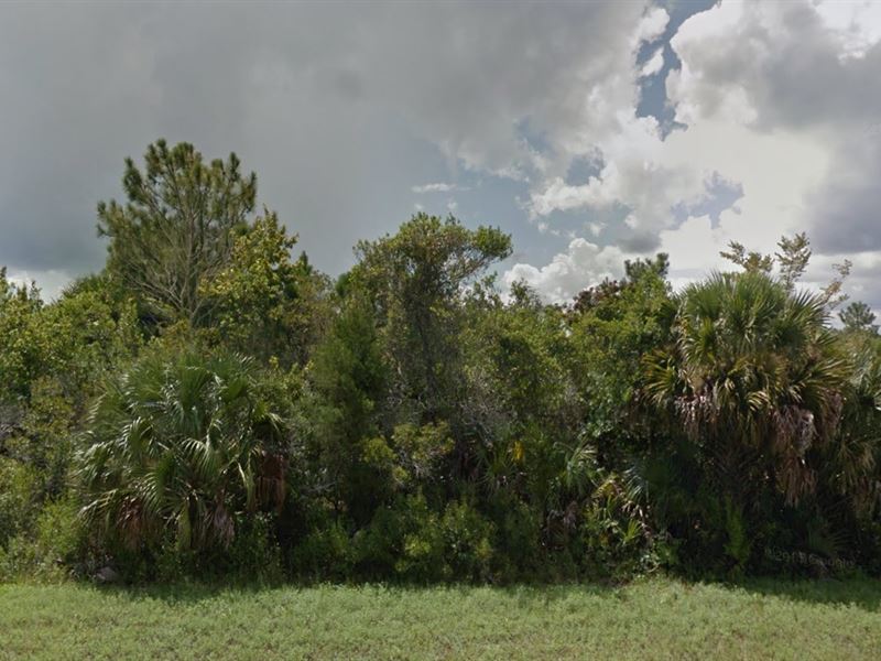 Brevard County, Fl $14,500 : Land for Sale in Mims, Brevard County, Florida : #156527 : LANDFLIP