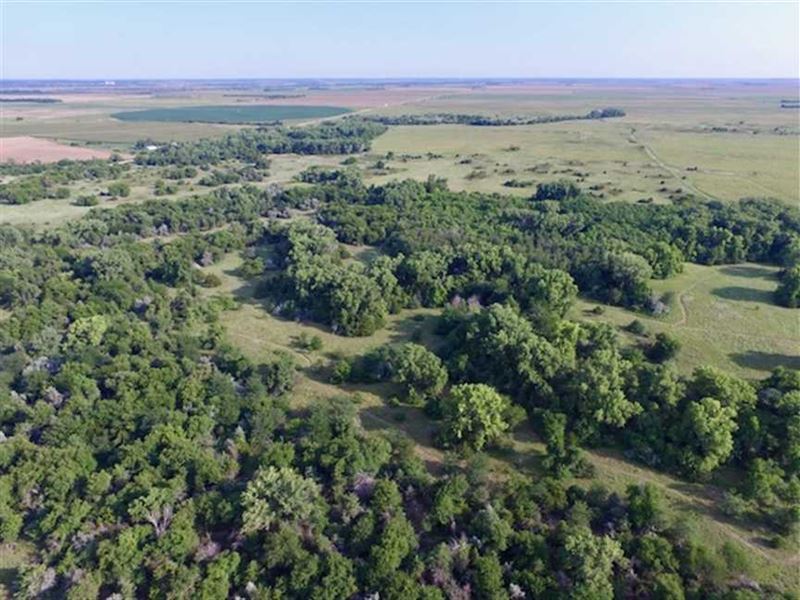 240 Acres of Excellent Hunting : Saint John : Stafford County : Kansas