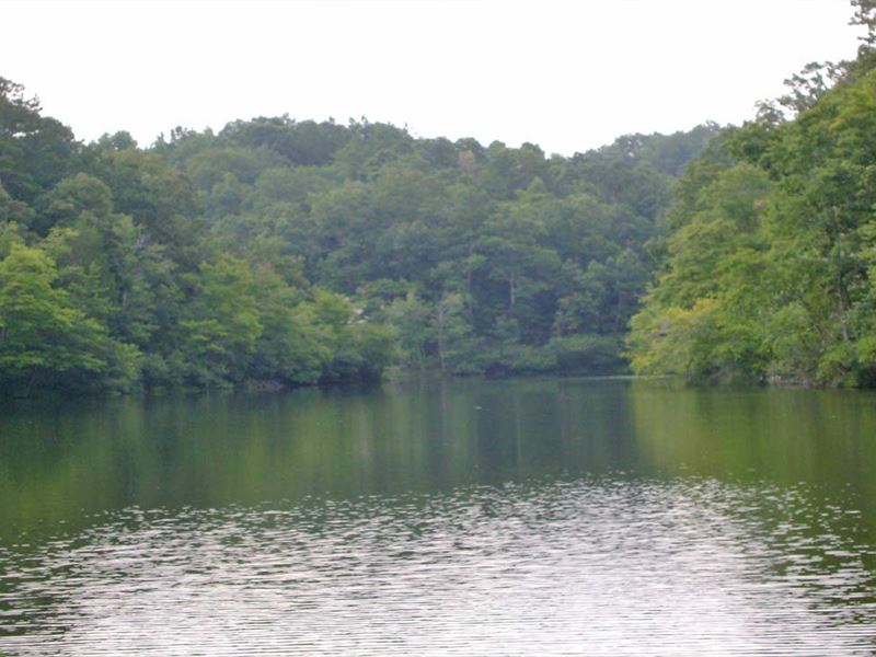 Lake Mary Tract : Munford : Talladega County : Alabama
