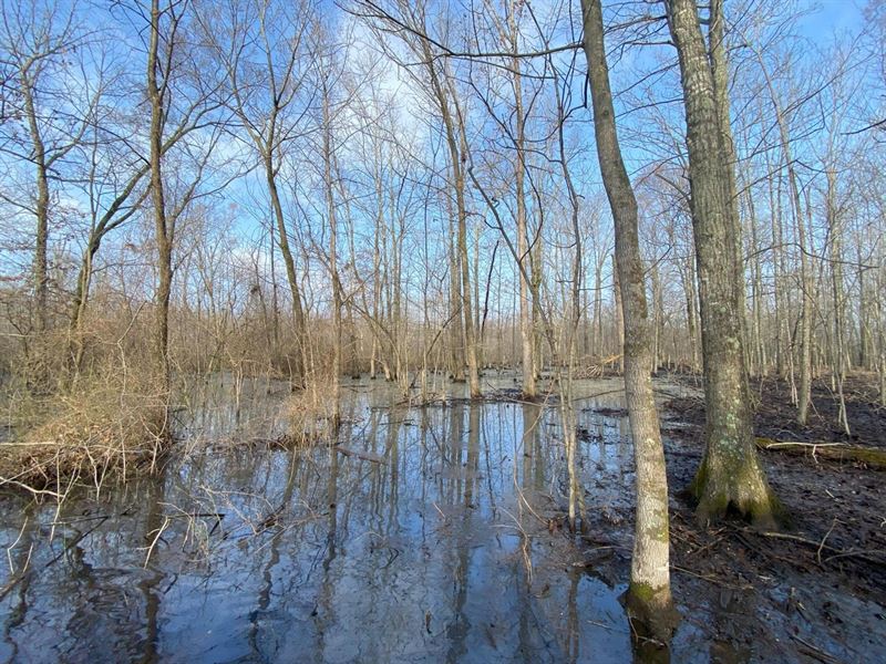 72 Acre Farm, Recreation, & Cab : McCrory : Woodruff County : Arkansas