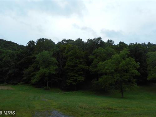 Bethel Rd Wooded Land : Slanesville : Hampshire County : West Virginia