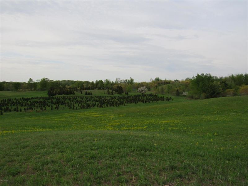 Rolling Acreage With Tree Farm Land for Sale in Hart, Oceana County