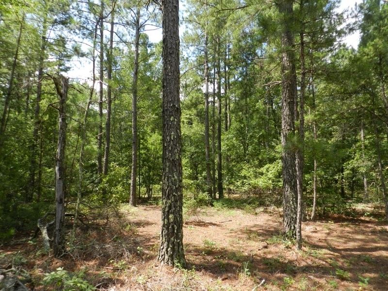 Affordable Hancock Hunting Paradise, Land for Sale in 157254