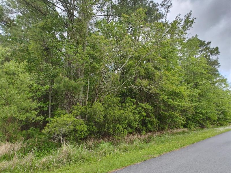 Woodbine Sfr Lot 6, Blk 24 : Woodbine : Camden County : Georgia