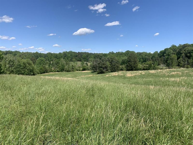 13 Acres Off Frank Hulin Road : Lexington : Davidson County : North Carolina