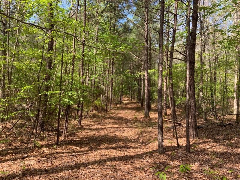 Microtower Road, Tract B, Caldwell : Clarks : Caldwell Parish : Louisiana