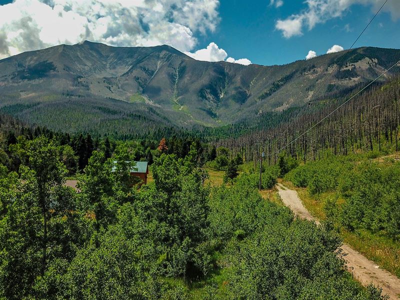 Wooded Lot with Creek & Electricity : Walsenburg : Huerfano County : Colorado