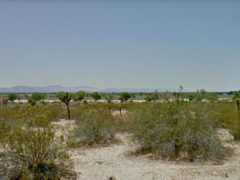 5.05 Acres in Palmdale, CA : Palmdale : Los Angeles County : California