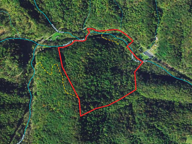 56.96 Acres of Hu : Ferrum : Franklin County : Virginia
