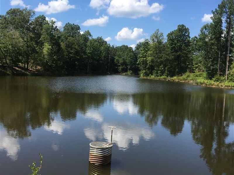 Lane Road Hunting Tract : Monticello : Jasper County : Georgia