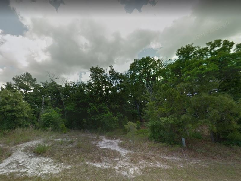 Hernando County, Fl $60,000 : Spring Hill : Hernando County : Florida