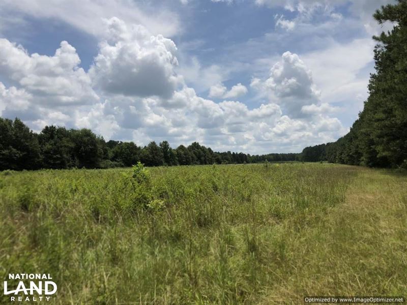 Recreational Tract & Timber Land : McCool : Attala County : Mississippi