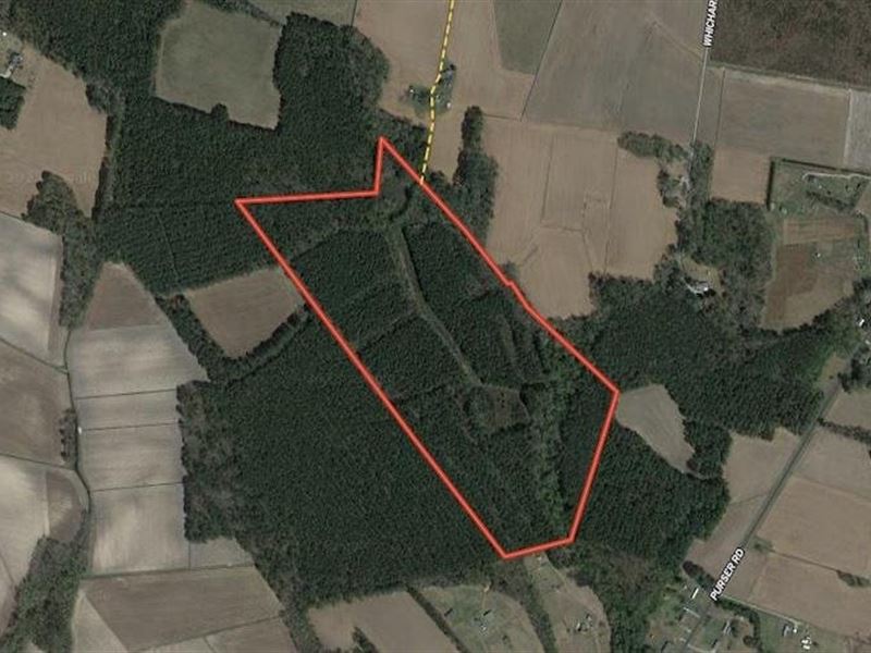 57.75 Ac Hunting : Vanceboro : Craven County : North Carolina