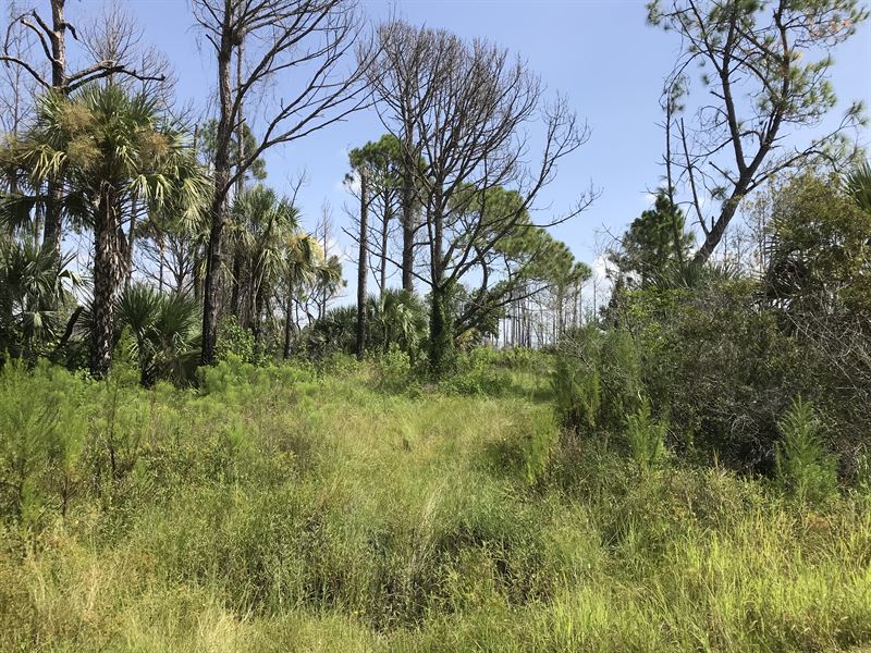 6000 Acre Preserve In Your Backyard Land for Sale by Owner in North