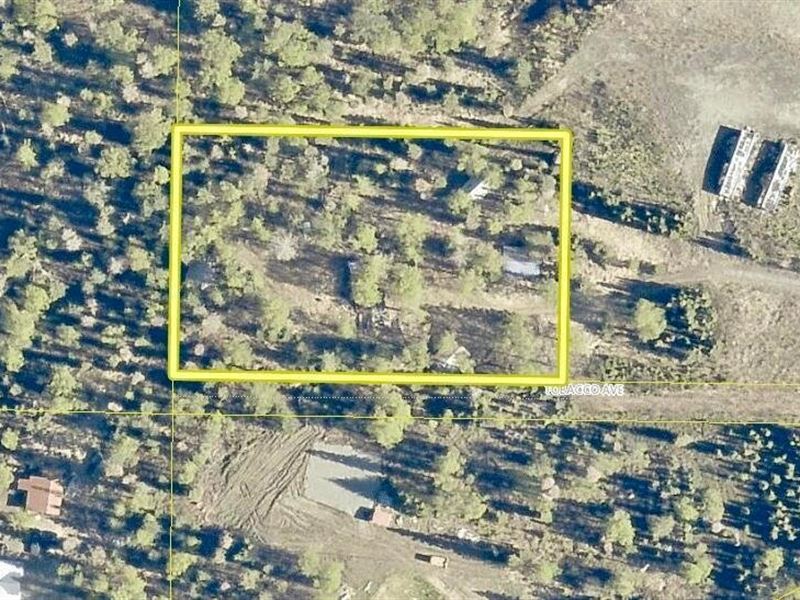 1.31 Acres Near Otna Electric : Soldotna : Kenai Peninsula Borough : Alaska