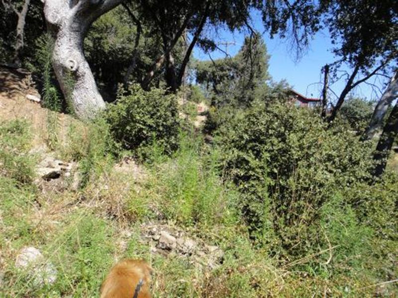 Overlooks Lake Cuyamaca & Mountains : Julian : San Diego County : California