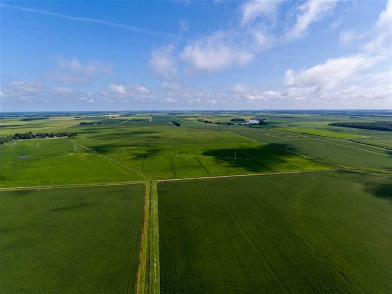 681 Row Crop Farmland Acres : Waldenburg : Poinsett County : Arkansas