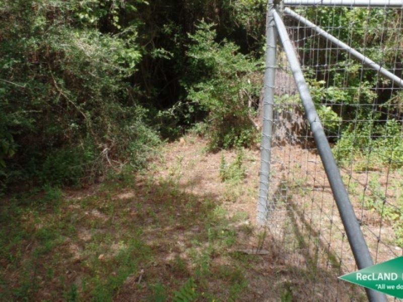 7.68 Ac, Timberland for Recreation : Kountze : Hardin County : Texas