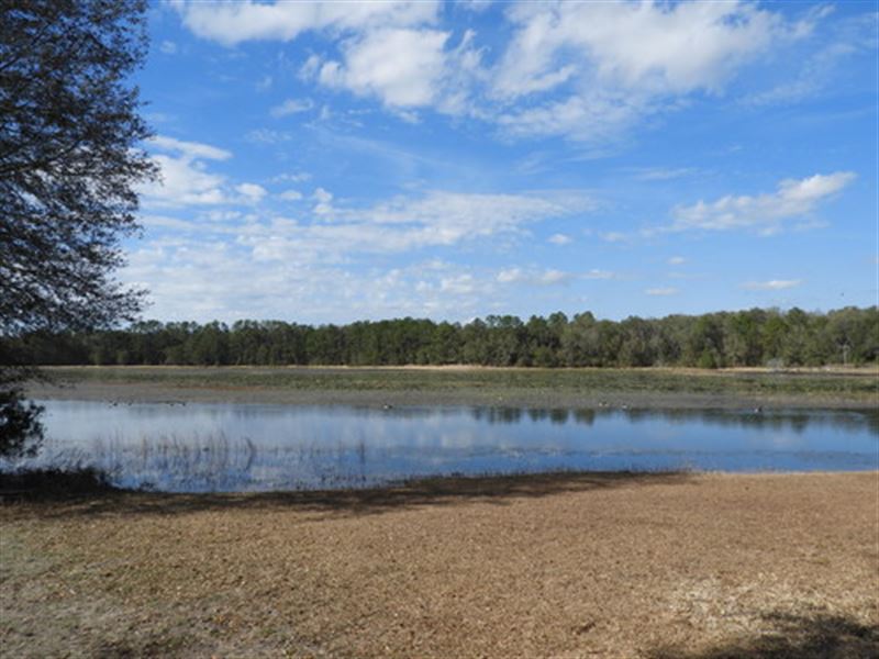 29 Beautifully Wooded Acres, Wl-102 : Keystone Heights : Clay County : Florida