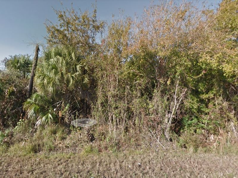 Wooded 4.81 Acres in Polk County Fl : Lakeland : Polk County : Florida