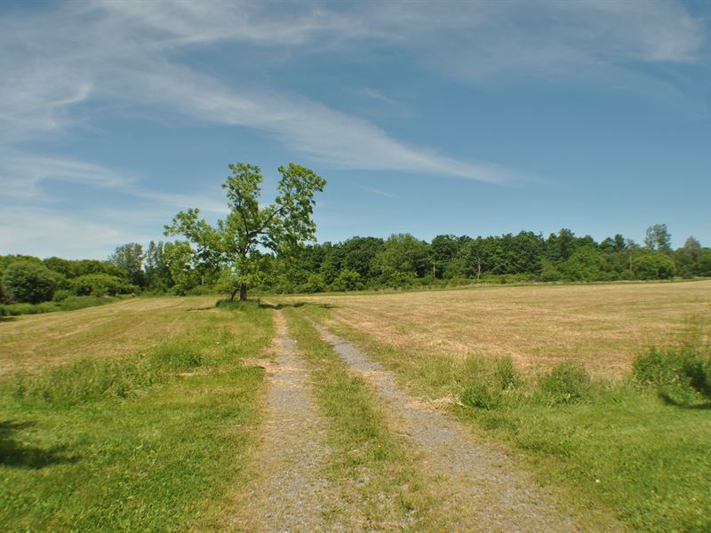 Prime Cazenovia Land Lot A : Cazenovia : Madison County : New York