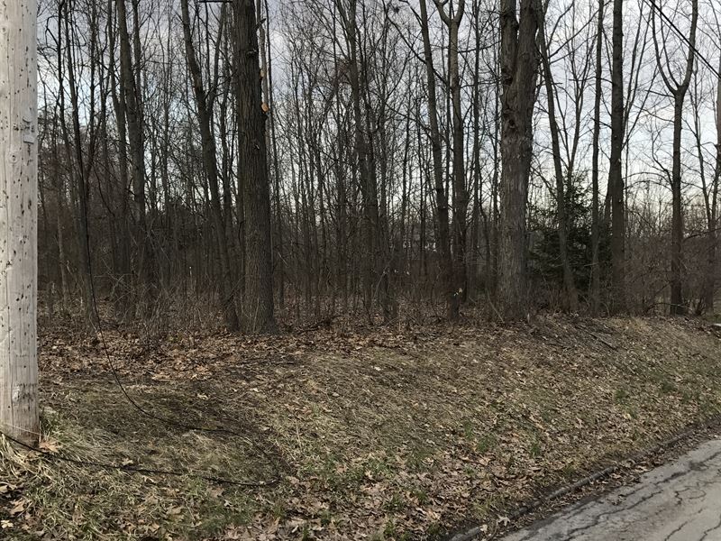 Frontage, Views, and Large Country : Fairport : Monroe County : New York