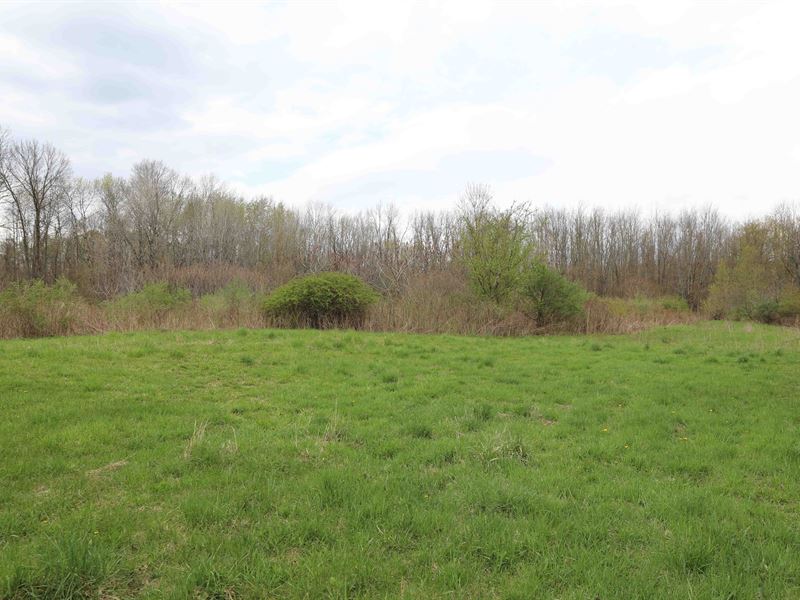 Semi-Rural Home Site in Bridgeport : Bridgeport : Madison County : New York