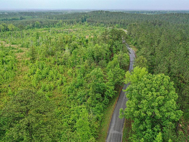 77 Acres Winston County : Noxapater : Winston County : Mississippi