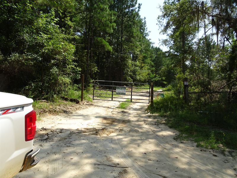 Super Hunting in South Twiggs : Jeffersonville : Twiggs County : Georgia