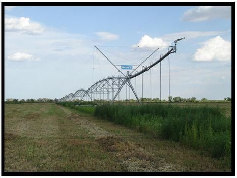 545 Acres Irr/Grass/Dry T1324 2 : Syracuse : Hamilton County : Kansas